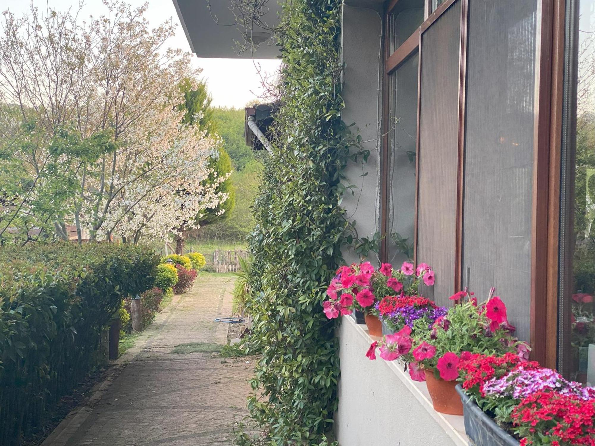 Kerpe Diem Otel Kültér fotó