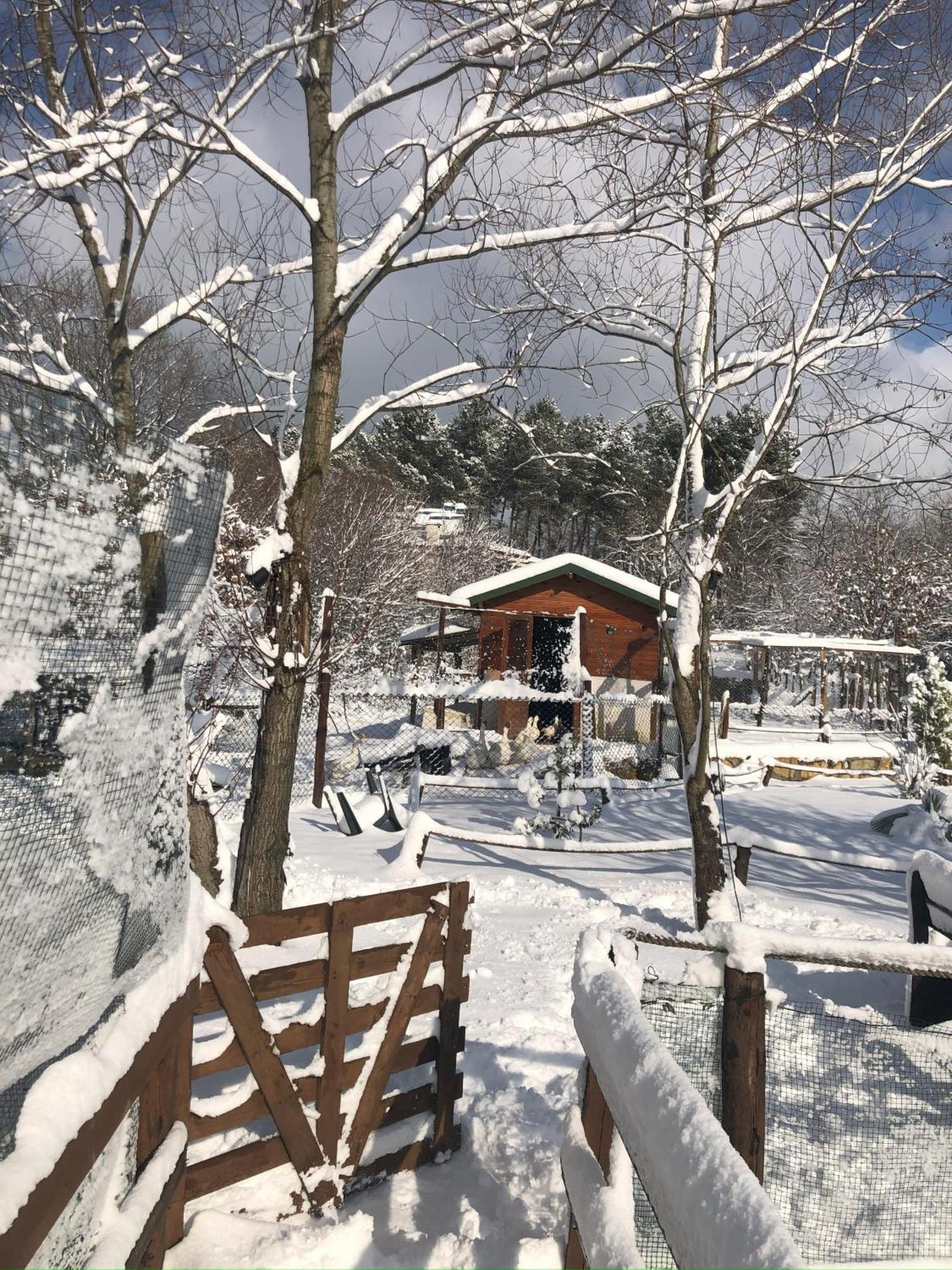 Kerpe Diem Otel Kültér fotó