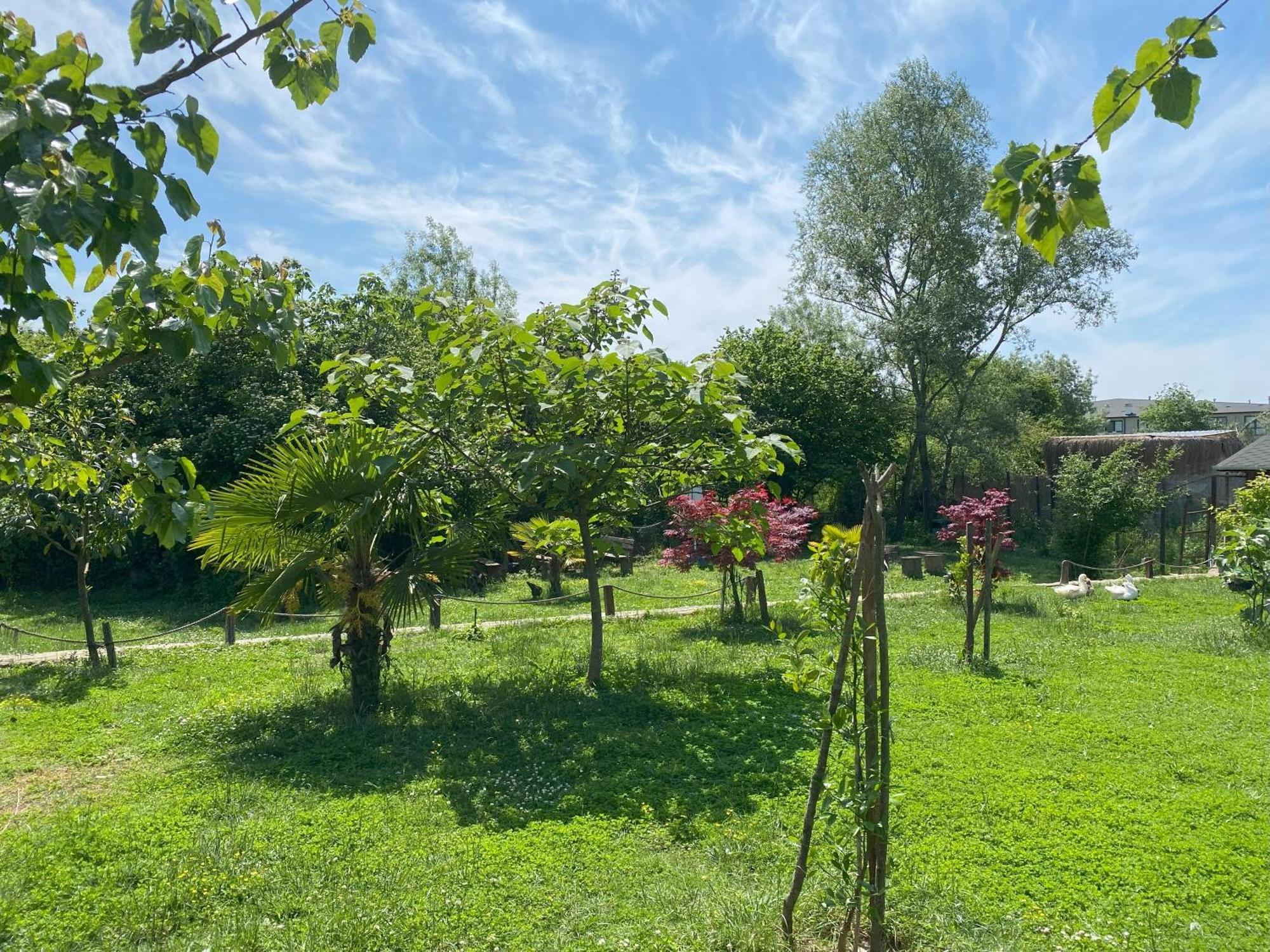 Kerpe Diem Otel Kültér fotó