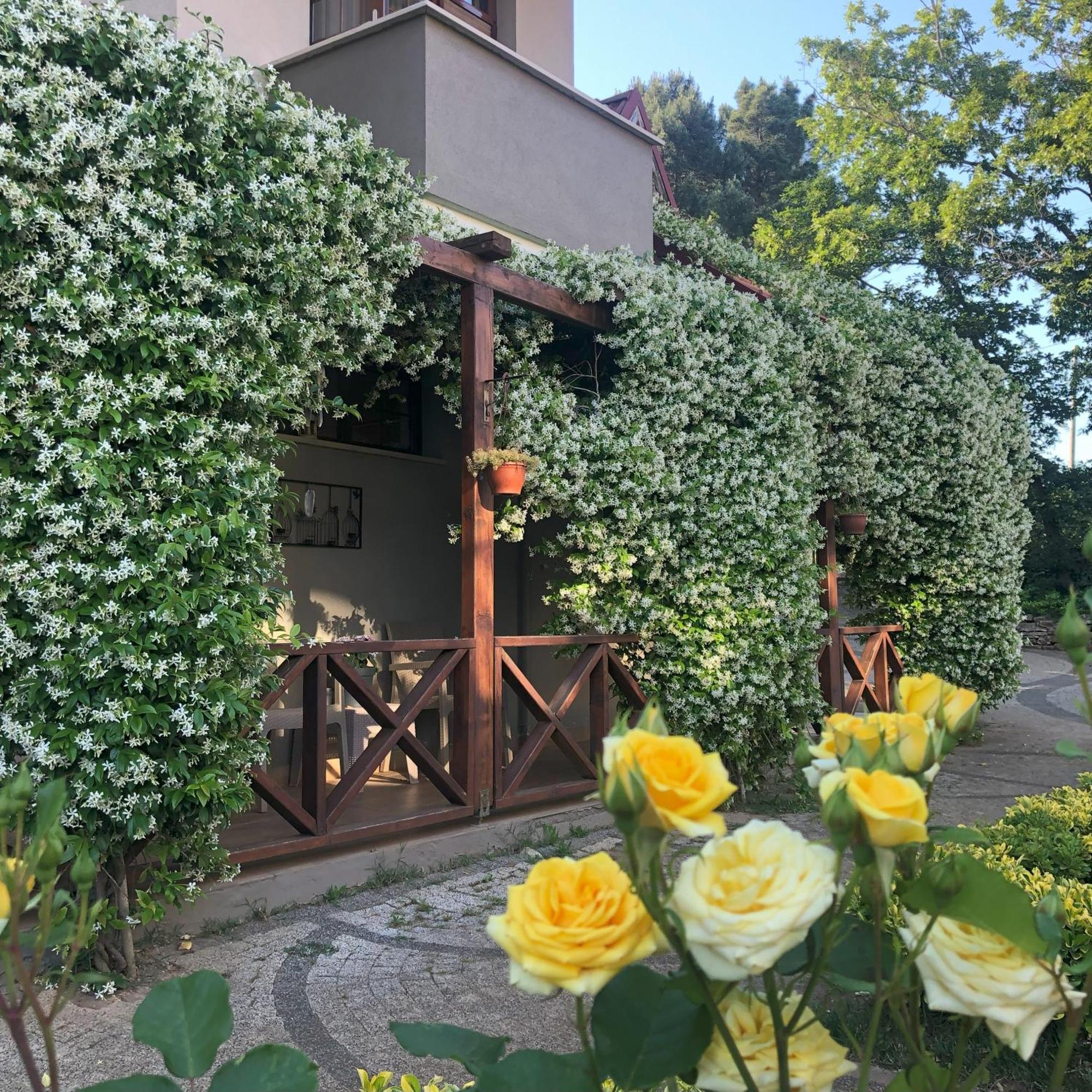 Kerpe Diem Otel Kültér fotó