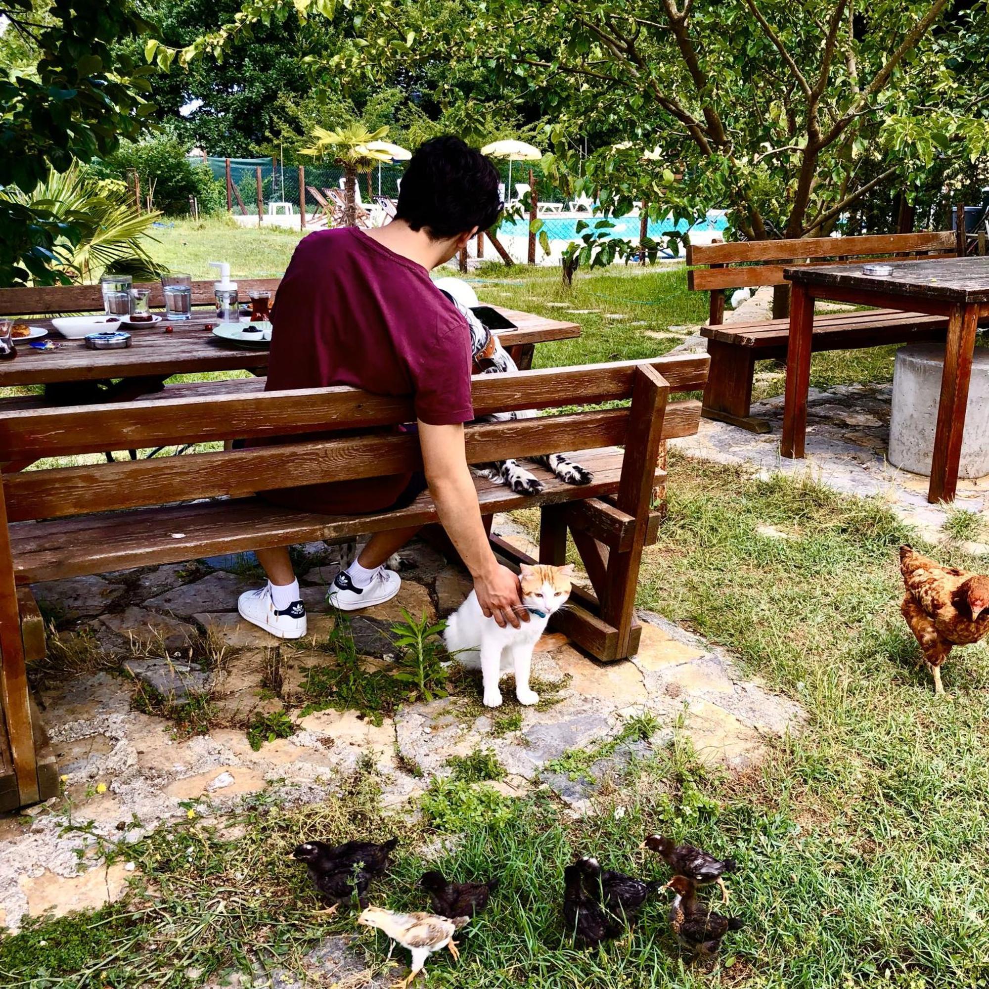 Kerpe Diem Otel Kültér fotó