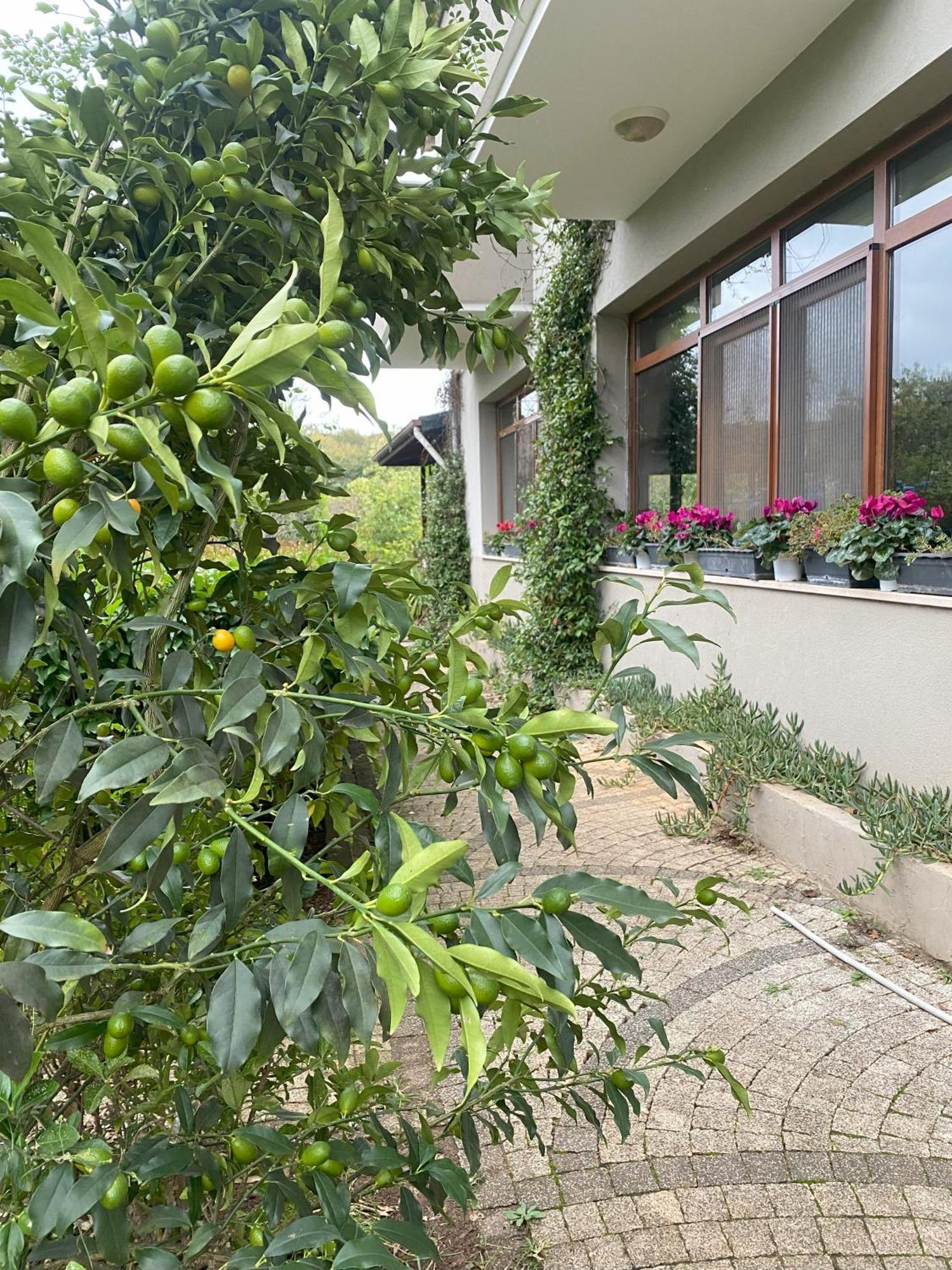 Kerpe Diem Otel Kültér fotó