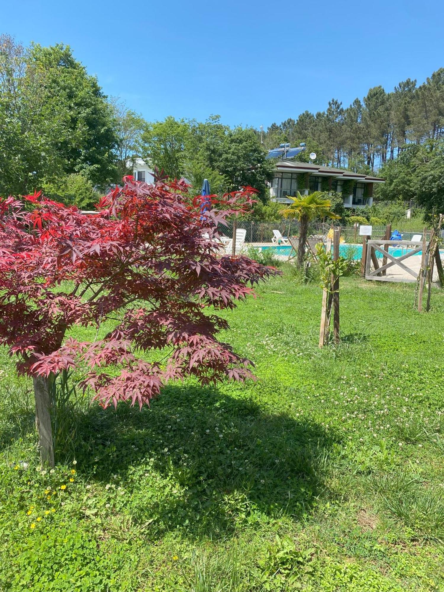 Kerpe Diem Otel Kültér fotó